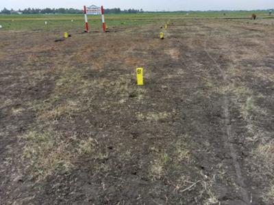 Project Image of 600.0 - 1200.0 Sq.ft Residential Plot Plot for buy in Sky Sri Azhagar City II