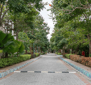 Project Image of 895.23 - 4784.45 Sq.ft Residential Plot Plot for buy in Zuari Garden City Plots