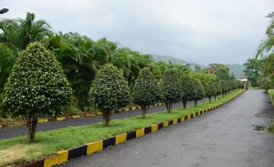 Project Image of 0.0 - 18105.0 Sq.ft Residential Plot Plot for buy in Balsam Bhimashankar Hills