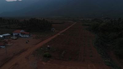Project Image of 1000.0 - 15681.0 Sq.ft Residential Plot Plot for buy in Chettinad Farms