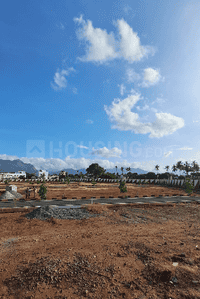 Project Images