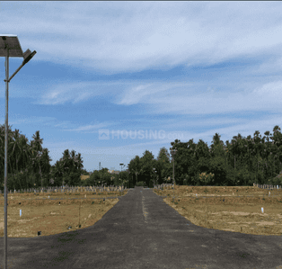 Project Images