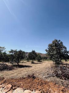 Project Image of 6000.0 - 12000.0 Sq.ft Residential Plot Plot for buy in Navile Farms 