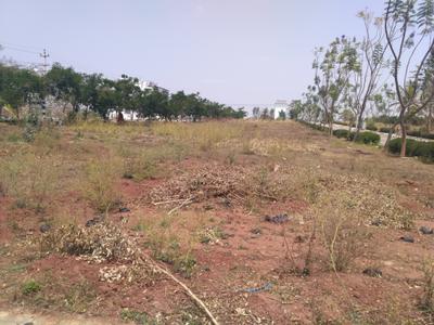 Project Images