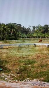 Project Image of 720.0 - 3600.0 Sq.ft Residential Plot Plot for buy in Mega Amravati