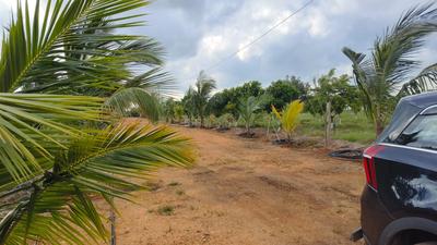 Project Image of 1089.0 - 5445.0 Sq.ft Residential Plot Plot for buy in Fortune Samskruthi Farms