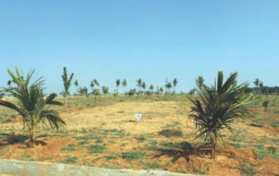 Project Image of 1200.0 - 5000.0 Sq.ft Residential Plot Plot for buy in AVS De Flora