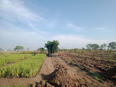 Project Image of 2178.0 - 5445.0 Sq.ft Residential Plot Plot for buy in PAMENA GREENS