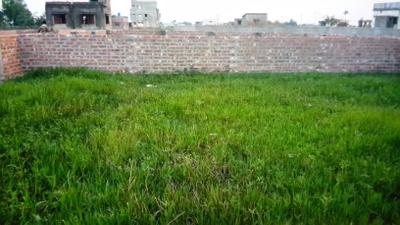 Project Image of 1440.0 - 3600.0 Sq.ft Residential Plot Plot for buy in Greenview Aparajita Garden