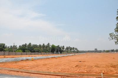 Project Image of 1150.0 - 2400.0 Sq.ft Residential Plot Plot for buy in Blue North Town