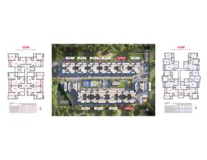 Project Image of 641.0 - 904.0 Sq.ft 2 BHK Apartment for buy in Namrata Sarvam