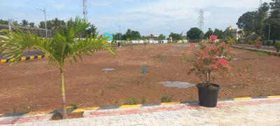 Project Image of 562.0 - 1668.0 Sq.ft Residential Plot Plot for buy in Balamurugan Nagar