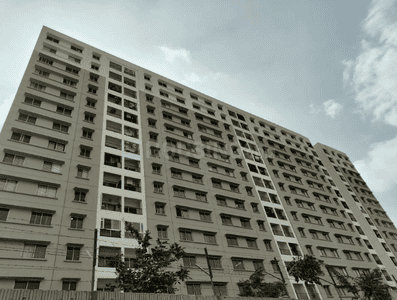 Project Images