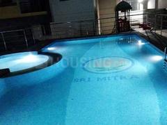 Swimming Pool 1