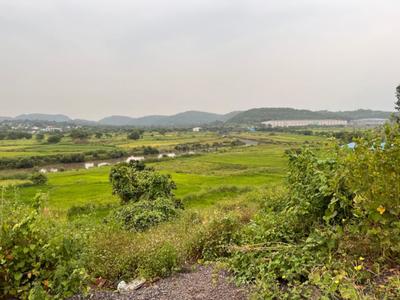 Project Image of 1089.0 - 3267.0 Sq.ft Residential Plot Plot for buy in High Vision Plots in Ranjanpada