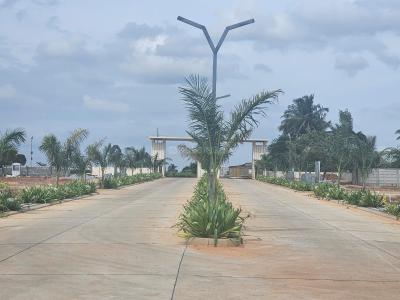 Project Image of 900.0 - 1500.0 Sq.ft Residential Plot Plot for buy in Space Soahan Serenity