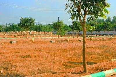 Project Image of 1200.0 - 1500.0 Sq.ft Residential Plot Plot for buy in Prime City