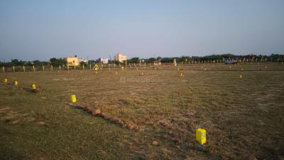 Project Image of 600.0 - 1503.0 Sq.ft Residential Plot Plot for buy in Ungal Ram Nagar