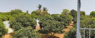 Project Image of 0.0 - 5445.0 Sq.ft Residential Plot Plot for buy in Vision Aashritha Mango Garden
