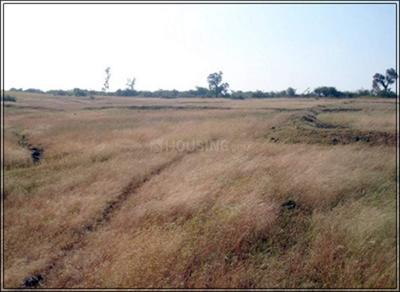 Project Image of 1907.0 - 2925.0 Sq.ft Residential Plot Plot for buy in Subhadra Makhmalabad Plot