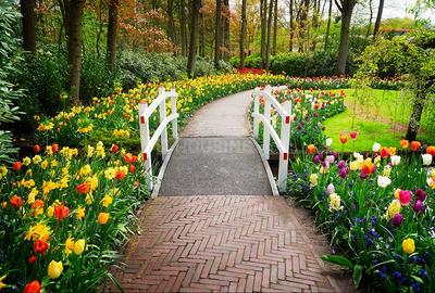 Project Image of 1500 Sq.ft Residential Plot / Land for sale in Setterahally for Rs. 12500000