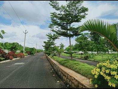 Project Image of 1112.0 - 21600.0 Sq.ft Residential Plot Plot for buy in Sai Priya Antara