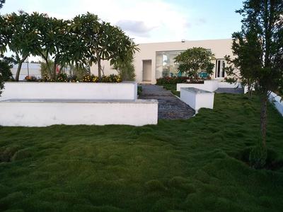 Project Image of 1200.0 - 2500.0 Sq.ft Residential Plot Plot for buy in Vensai Temple Tree
