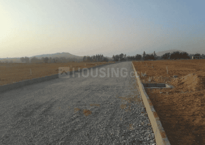 Project Images