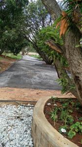 Project Image of 1108.0 - 2400.0 Sq.ft Residential Plot Plot for buy in Shriram Godhuli