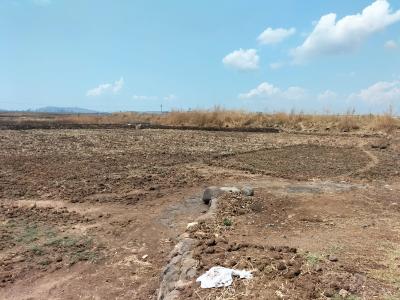 Project Image of 1000.0 - 10000.0 Sq.ft Residential Plot Plot for buy in Plot Wale Belondekhar