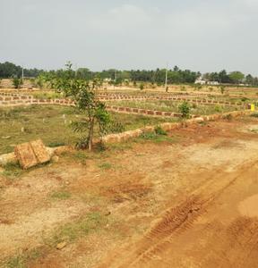 Project Image of 1200.0 - 2500.0 Sq.ft Residential Plot Plot for buy in Om Vihar