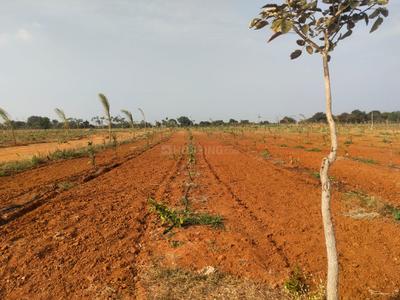 Project Image of 2178.0 - 4356.0 Sq.ft Residential Plot Plot for buy in RR Mega Siri Vanam
