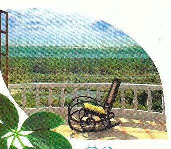 Project Image of 0.0 - 2300.0 Sq.ft 3 BHK Villa for buy in DS Greens Phase II