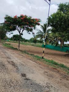 Project Image of 435.5 - 3825.0 Sq.ft Residential Plot Plot for buy in Vetri Avenue