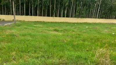 Project Image of 800.0 - 2729.0 Sq.ft Residential Plot Plot for buy in Nova KNT