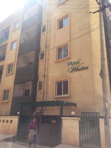 Project Image of 1100.0 - 1555.0 Sq.ft 2 BHK Apartment for buy in GCN R Sun Whites