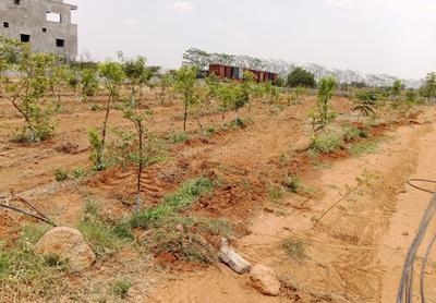 Project Image of 1350.0 - 2700.0 Sq.ft Residential Plot Plot for buy in Vision Siri Vanam