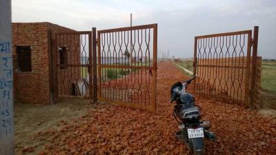 Project Images