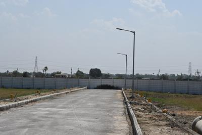 BLR Spring Field Vantage Plot 1