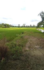 Project Image of 1440.0 - 7200.0 Sq.ft Residential Plot Plot for buy in Bengal Hotar Housing And MSME Hub
