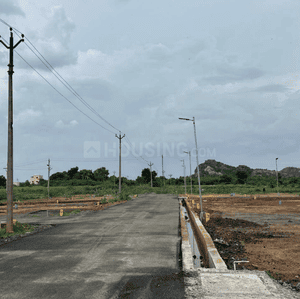 Project Images