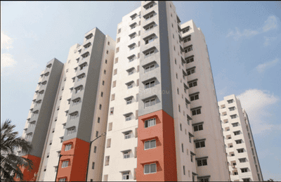 Project Image of 956.0 - 1291.0 Sq.ft 2 BHK Apartment for buy in Alamo XS Symphony