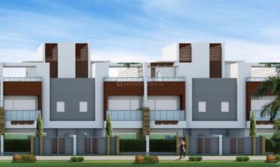 Project Images