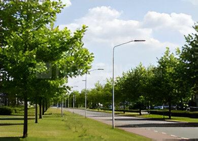 Project Image of 900.0 - 2400.0 Sq.ft Residential Plot Plot for buy in Premier Pothigai Garden