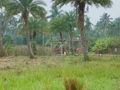 Project Image of 700.0 - 2160.0 Sq.ft Residential Plot Plot for buy in Alisha Rasapunja Abasan