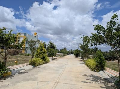 Project Image of 950.0 - 1200.0 Sq.ft Residential Plot Plot for buy in Srushti JP City