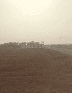 Project Images
