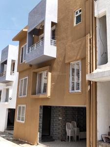 Nandi Pride Elevation 3