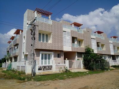 Orchid Blossoms Elevation 1