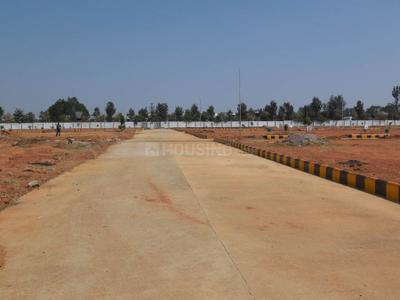 Project Image of 0.0 - 1200.0 Sq.ft Residential Plot Plot for buy in Peninsula Pine woods